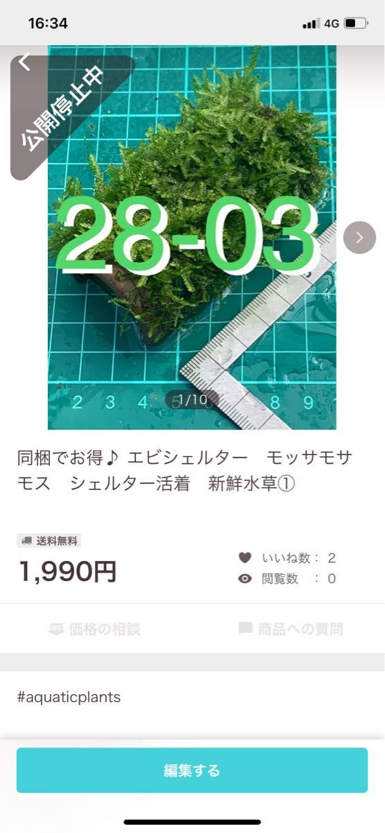 9専用出品 | www.viarengosergioserramenti.it
