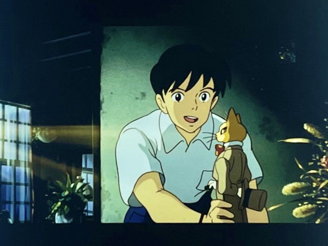 『耳をすませば (1995) WHISPER OF THE HEART』35mm フィルム 5コマ スタジオジブリ 映画 聖司 Film Studio Ghibliの画像1