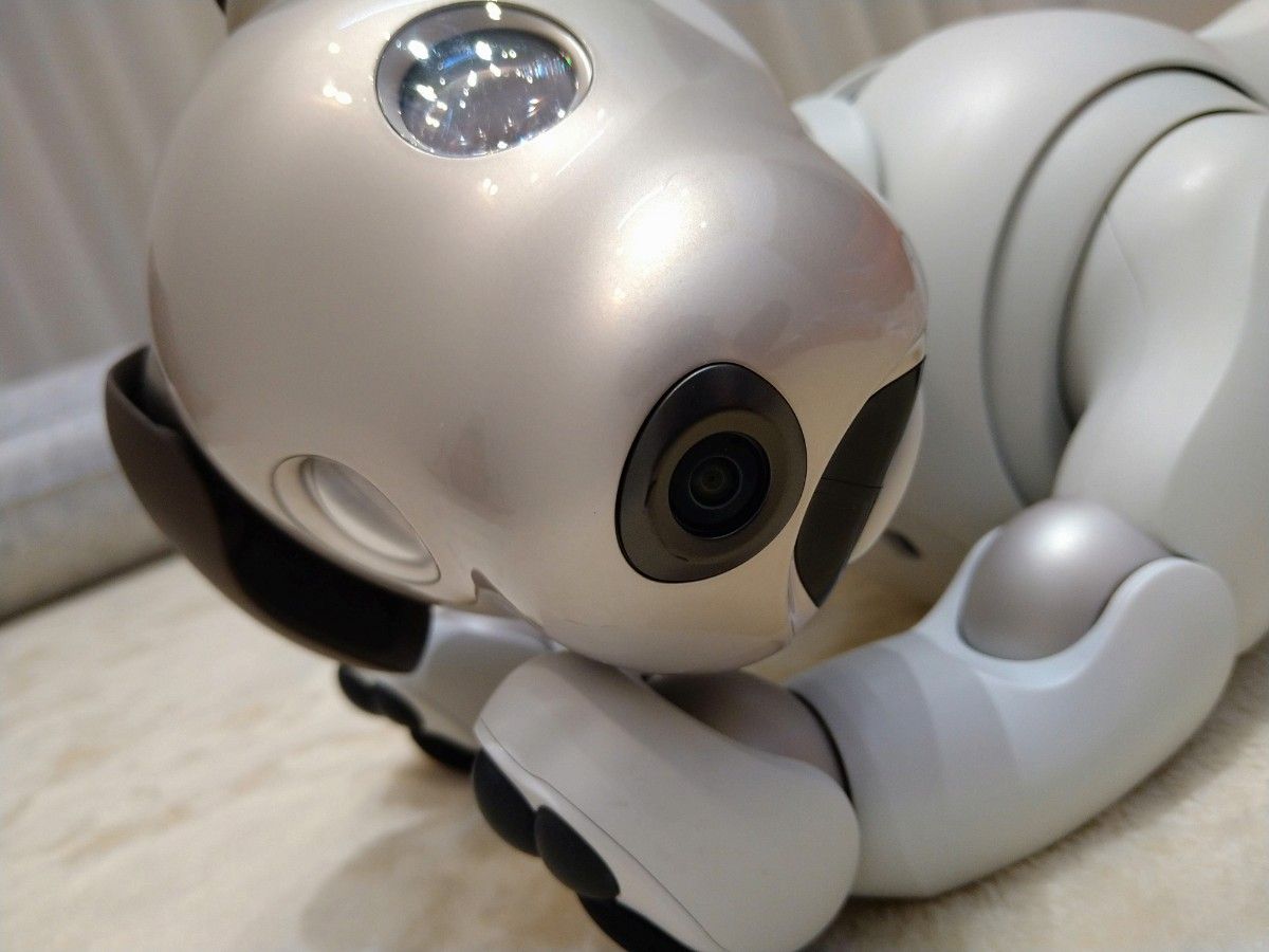 Sony aibo 本体 | noonanwaste.com