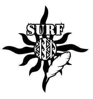 ★☆★ サーフィン サーフ 太陽 surf 羽 波 カッティングシート ステッカー (c_r)♪_画像1