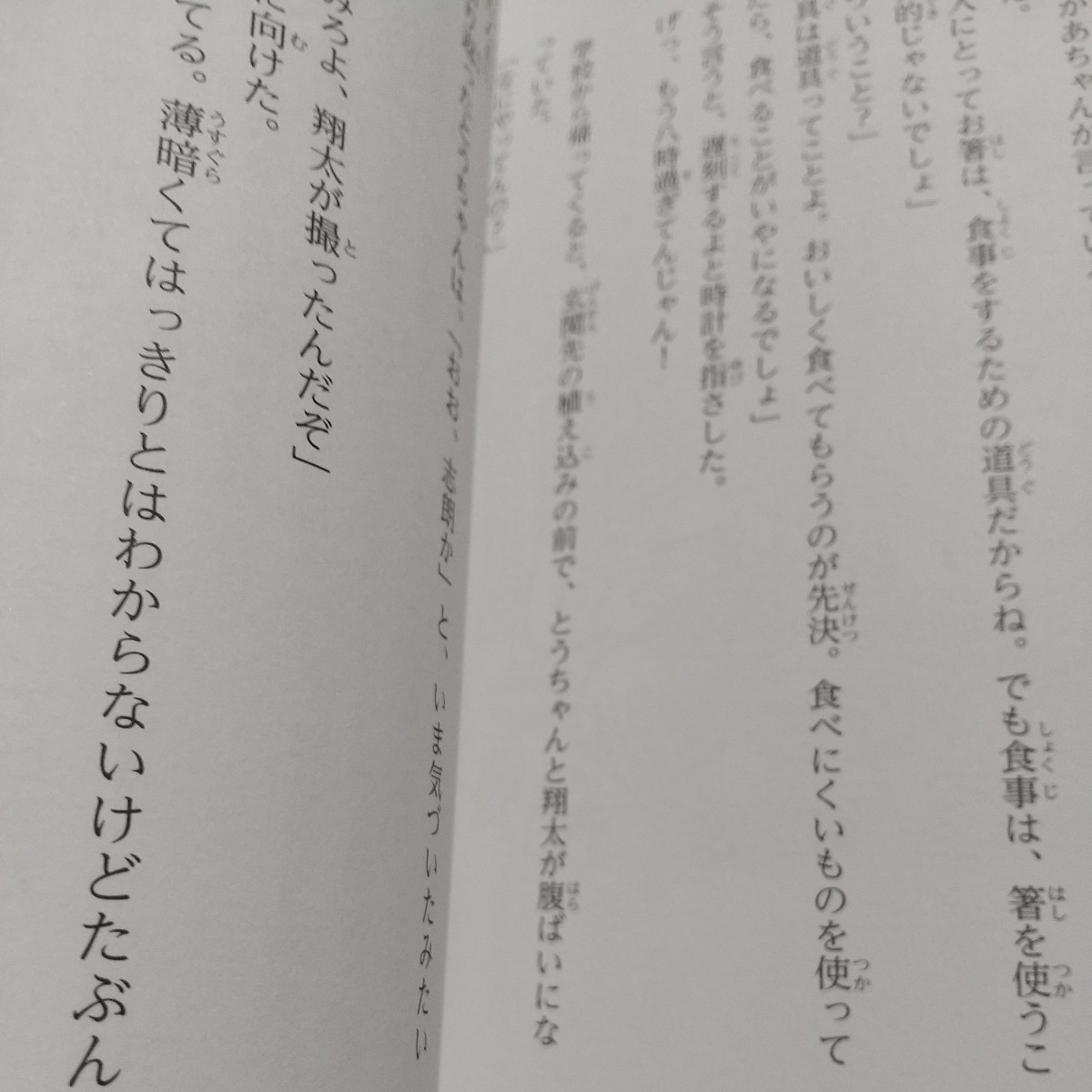 唐木田さんち物語 いとうみく 平澤朋子 中古 読み物 物語 単行本