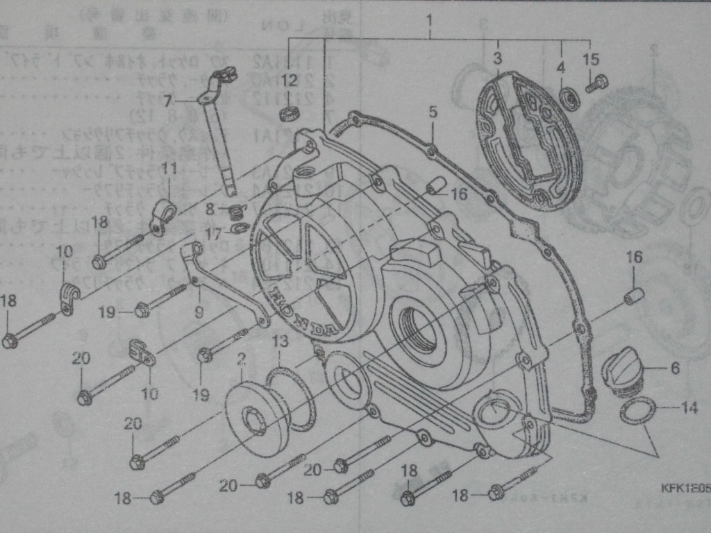 右クランクケースカバーオイルシール VT15 VTR250 MC33 ホンダ 純正新品_13番、14番