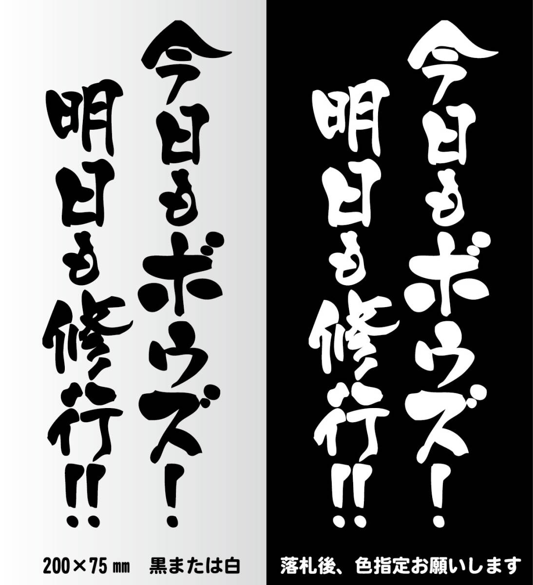 釣りステッカー 　「今日もボウズ！　明日も修行！！」　真鯛　黒鯛　船釣り　カゴ釣り　磯釣り　ジギング　エギング