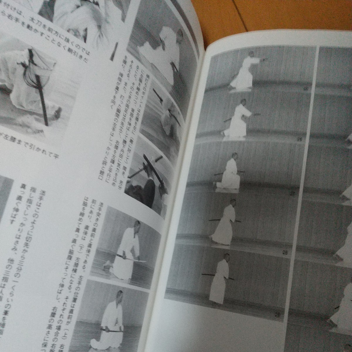最終値下 貴重 詳解 田宮流居合 妻木正麟 居合 居合術 居合道 最終値下 貴重 詳解 田宮流居合 妻木正麟 居合 居合術 居合道