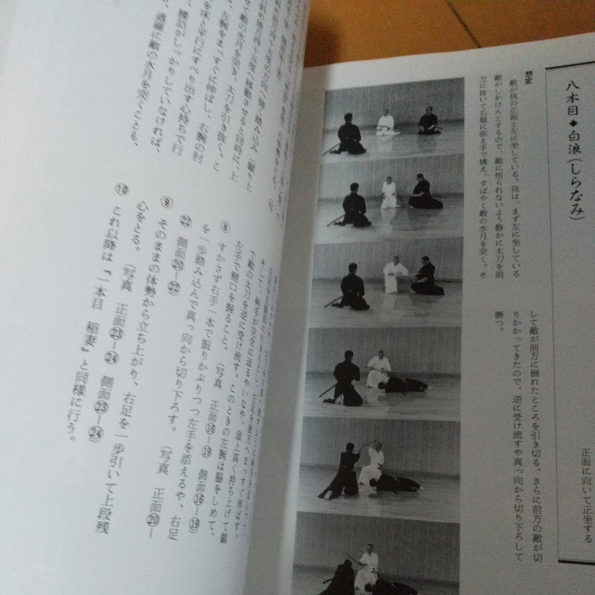 最終値下 貴重 詳解 田宮流居合 妻木正麟 居合 居合術 居合道 最終値下 貴重 詳解 田宮流居合 妻木正麟 居合 居合術 居合道