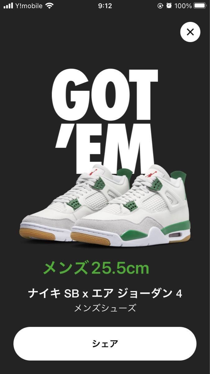 NIKE SB Air Jordan 4 Pine Green ナイキ SBエアジョーダン4 パイン