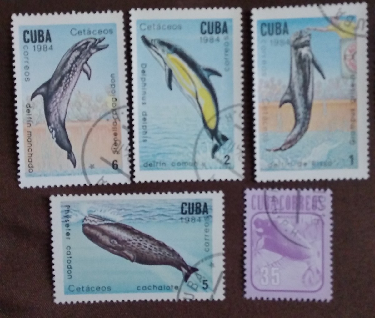 外国切手 クジラ イルカ 海洋哺乳類 1985 ベトナム 7完 1984 ギニアビサウ 7完 キューバ 5種 使用済みの画像7