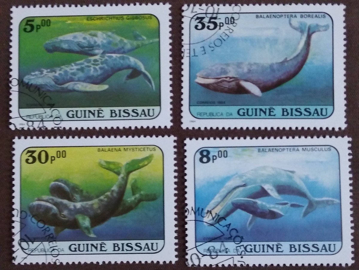 外国切手 クジラ イルカ 海洋哺乳類 1985 ベトナム 7完 1984 ギニアビサウ 7完 キューバ 5種 使用済みの画像3