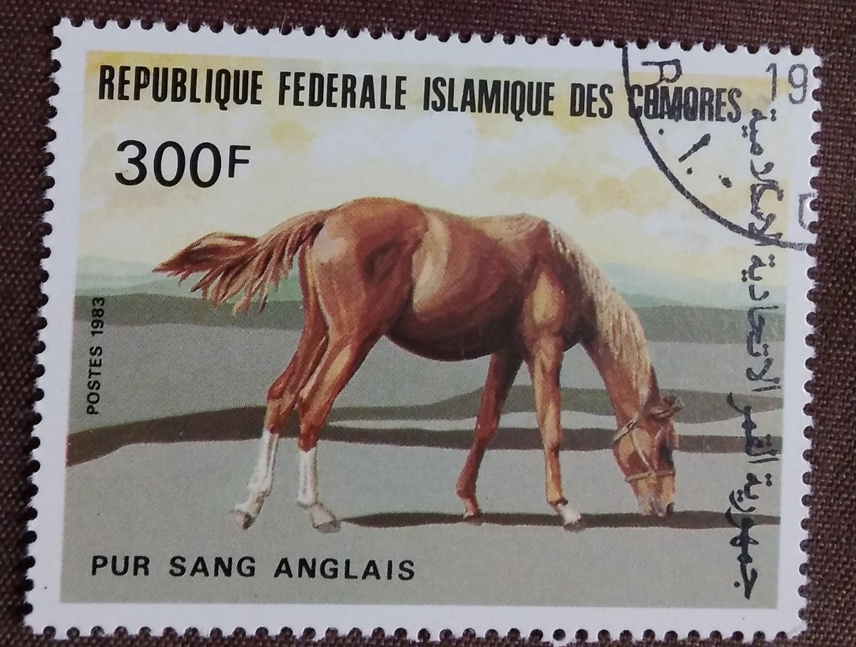 外国切手 馬 コモロ・イスラム連邦共和国 ウマ 8種 使用済みの画像10