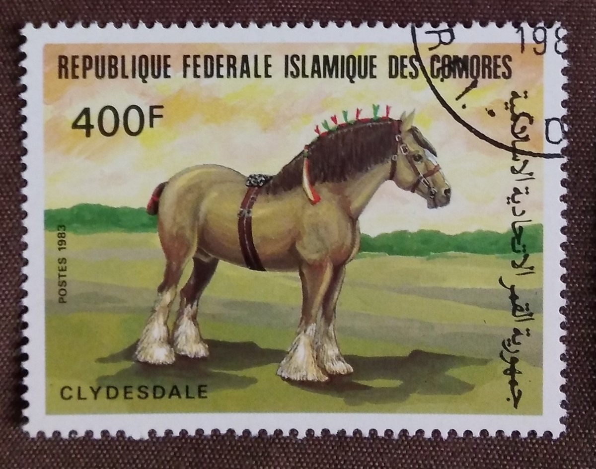 外国切手 馬 コモロ・イスラム連邦共和国 ウマ 8種 使用済みの画像5