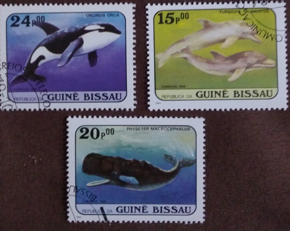 外国切手 クジラ イルカ 海洋哺乳類 1985 ベトナム 7完 1984 ギニアビサウ 7完 キューバ 5種 使用済みの画像4