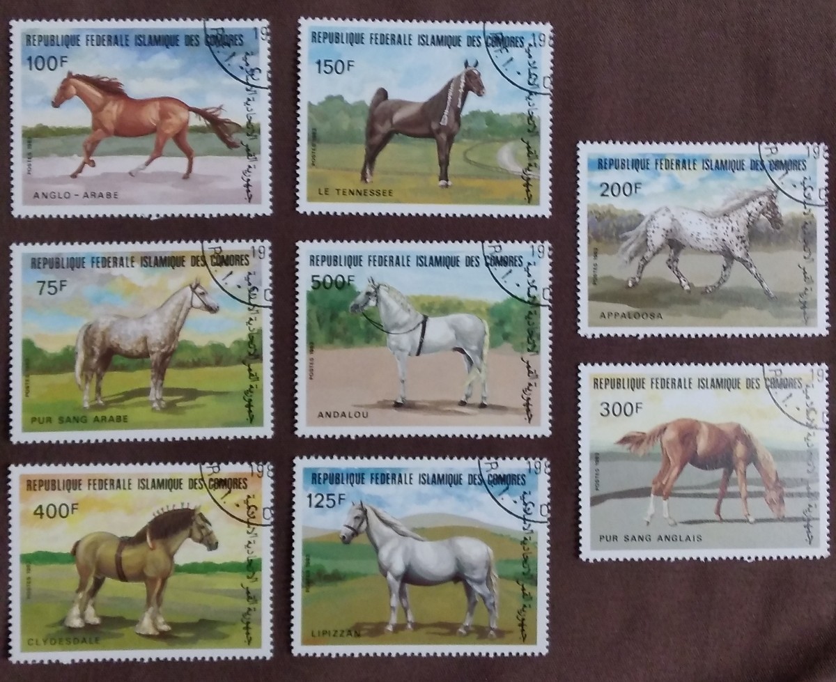 外国切手 馬 コモロ・イスラム連邦共和国 ウマ 8種 使用済みの画像1