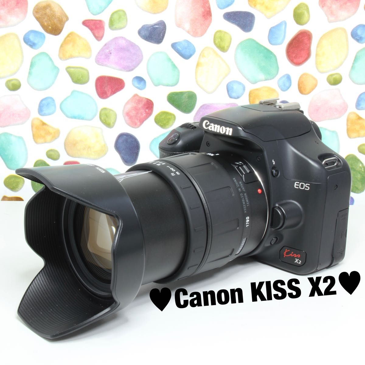 交換無料! ◇Canon 大人気 即発送 Canon kiss EOS KISS X2 X2 ダブル