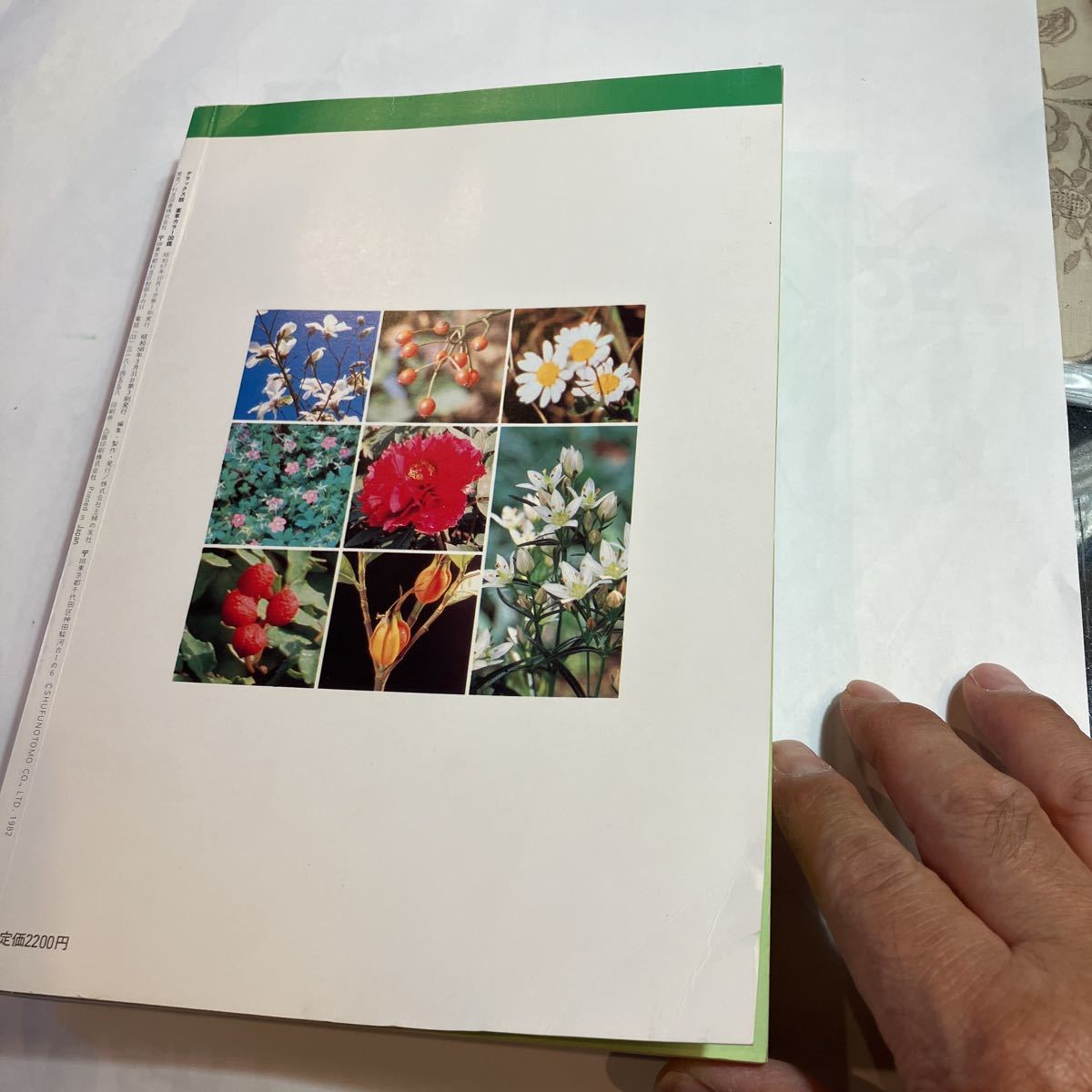 薬草カラー図鑑　デラックス版　美品ですが、裏表紙の角に僅かに折り目があります。_画像3