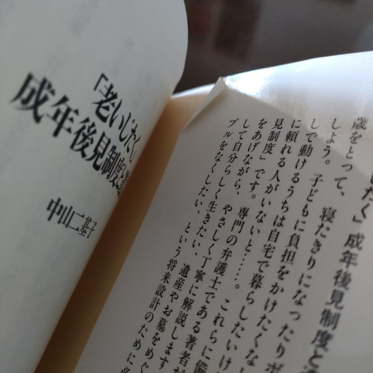 ★「老いじたく」成年後見制度と遺言 （文春新書　４３１） 中山二基子／著