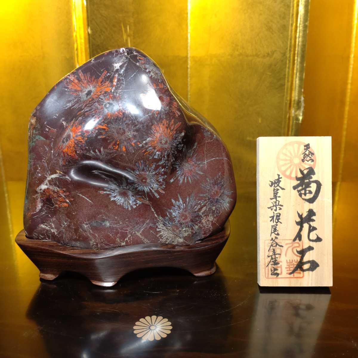 菊花石 紅白花 岐阜県根尾谷産 鑑賞石 自然石 天然石 水石 観賞石 1910.hu