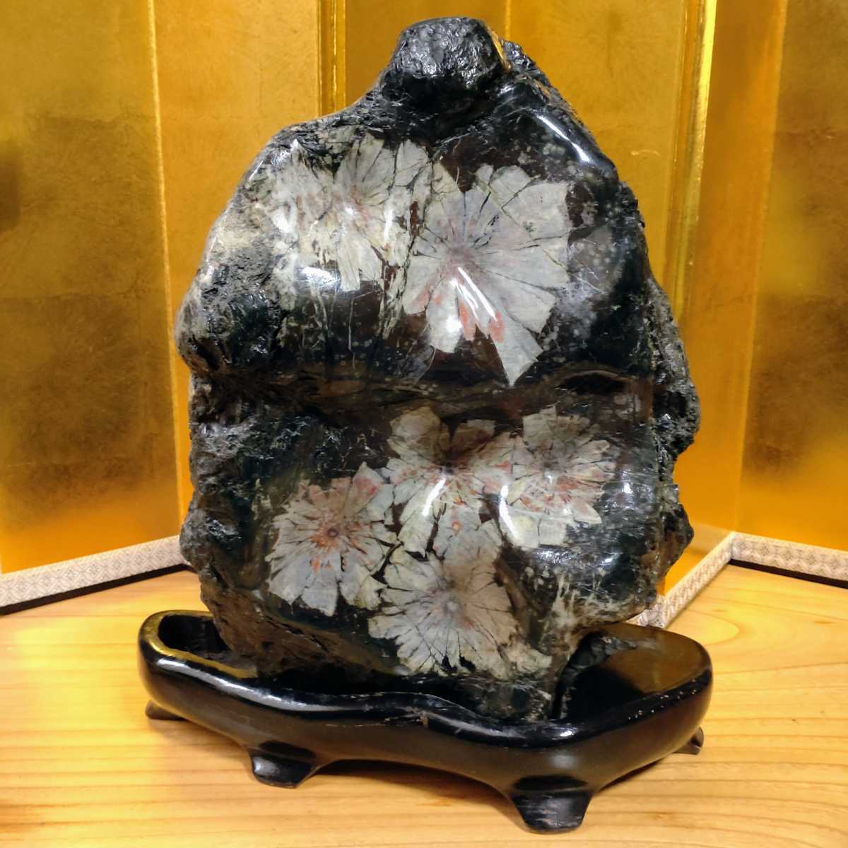 鑑賞石1.1kg 観賞石 水石 盆石-