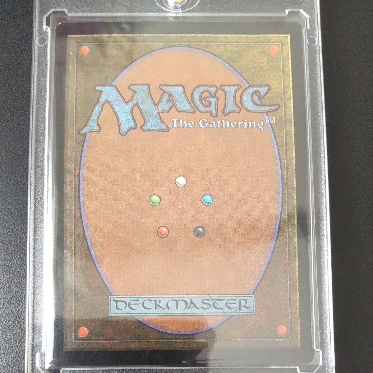 錯乱した隠遁者 MTG FOIL 日本語版 | noonanwaste.com