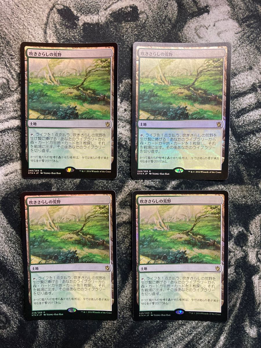 ＭＴＧ　　吹きさらしの荒野　foil  ４枚