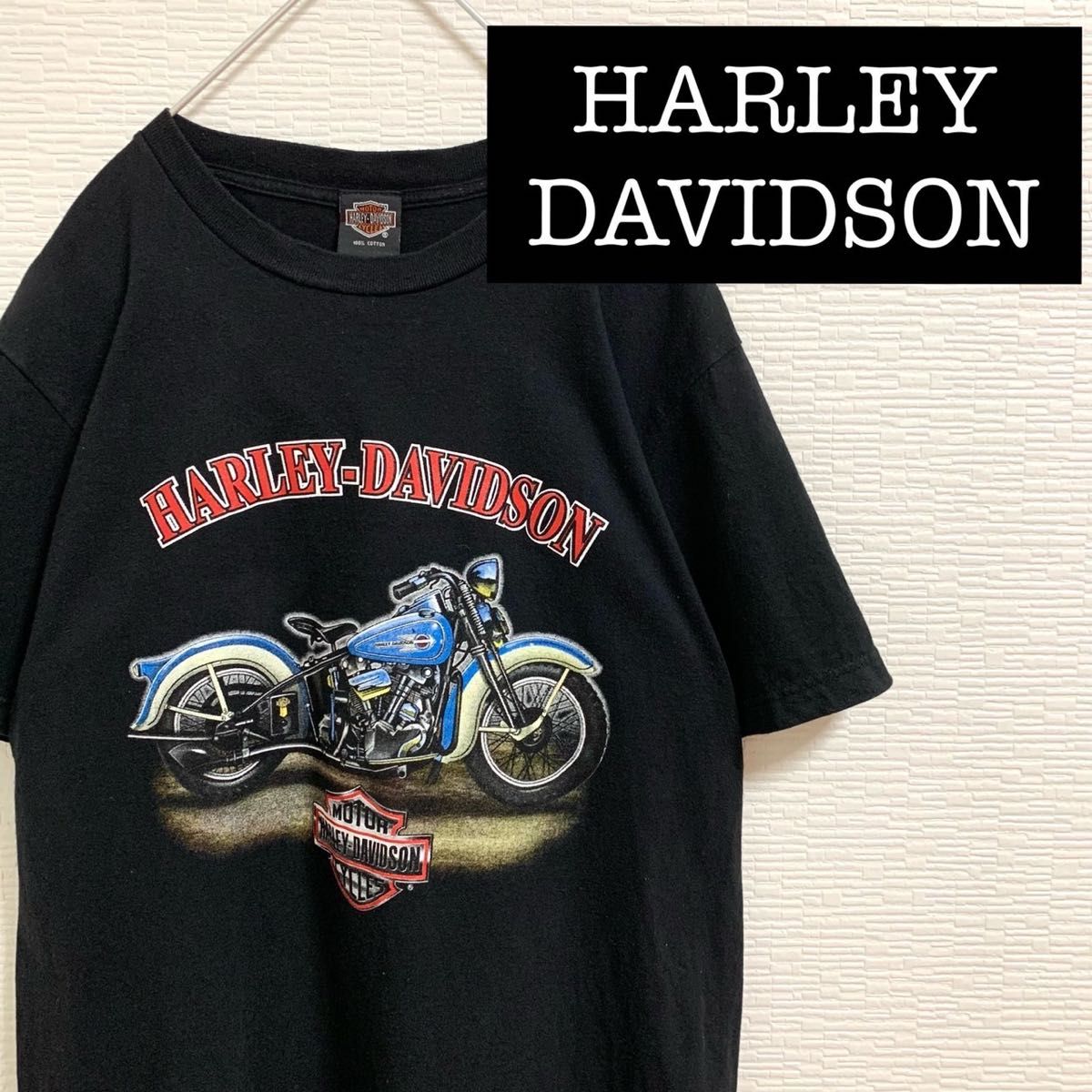 【極希少】 ハーレーダビッドソン ヴィンテージ Tシャツ ブラック サイズL HARLEY DAVIDSON Tee ビンテージ