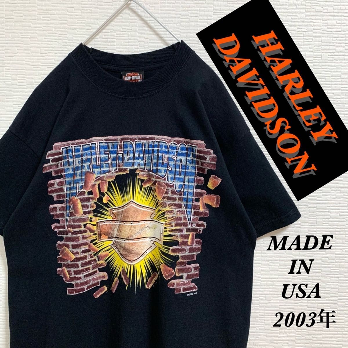 【USA製】 2003年 ハーレーダビッドソン ヴィンテージ Tシャツ ブラックHarleyDavidson 黒 バイク 古着