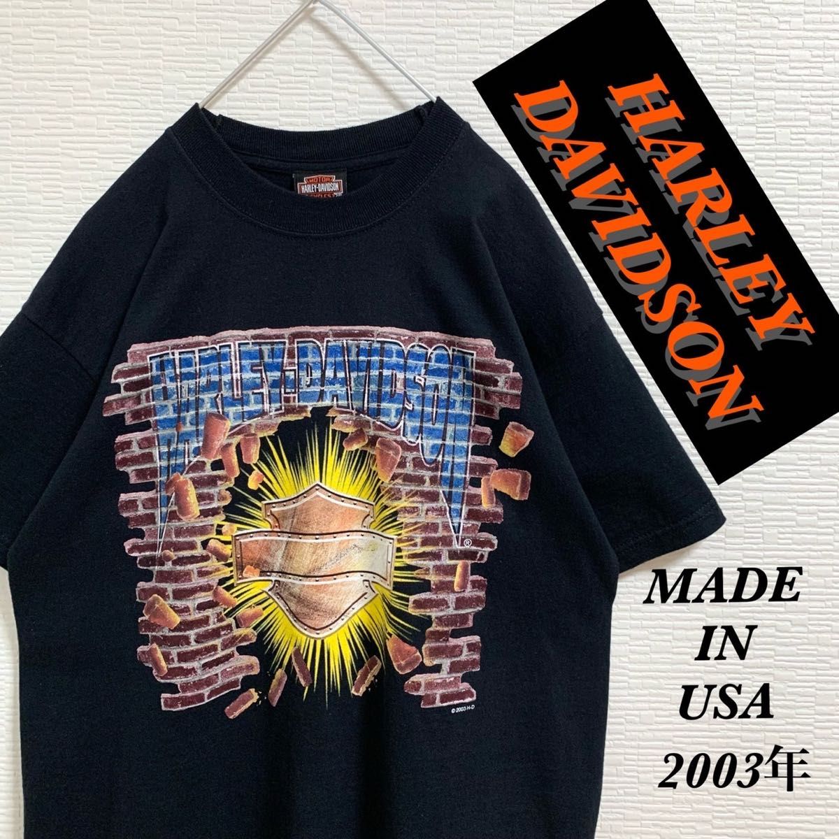 USA製】 2003年 ハーレーダビッドソン ヴィンテージ Tシャツ ブラック-