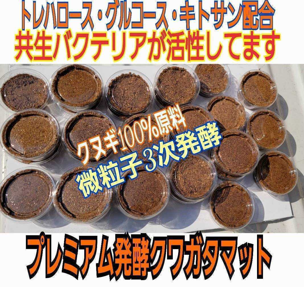 クワガタの初令、2令幼虫の小分けに便利！孵化したらまずはこれに！　プリンカップ入りプレミアム3次発酵マット　微粒子で食べやすい！_画像3