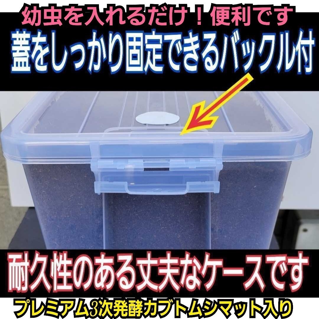 20リットル特大ケース入り！プレミアム3次発酵カブトムシマット　幼虫を入れるだけ！便利です！深いので大型成虫羽化できる　栄養価抜群！_画像5