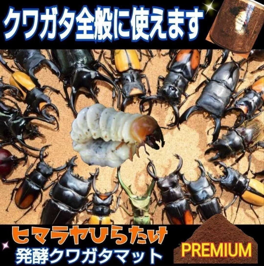 極上☆カワラ菌糸ブロック 4000cc クヌギ100% 初菌使用 極上☆カワラ菌糸ブロック 4000cc クヌギ100% 初菌使用