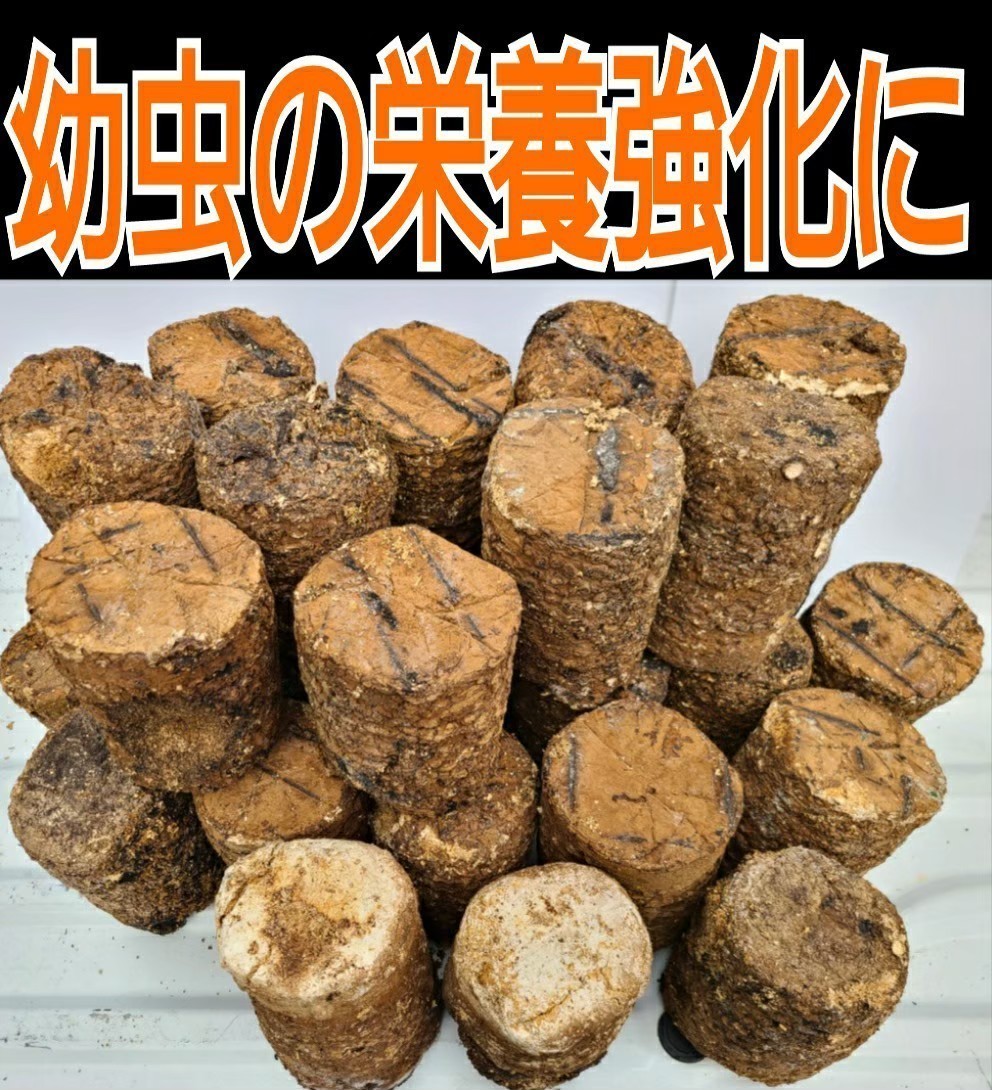 カブトムシ幼虫の栄養強化に抜群！椎茸菌床ブロック☆丸ごと発酵マットに埋め込むと幼虫が潜り込みモリモリ食べます！クヌギ100％原料使用_画像2