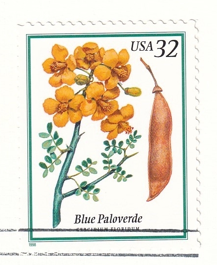 【ＦＤＣ】花が咲く木：青色パロベルデ（３）（１９９８年）（アメリカ）　t3317_画像2