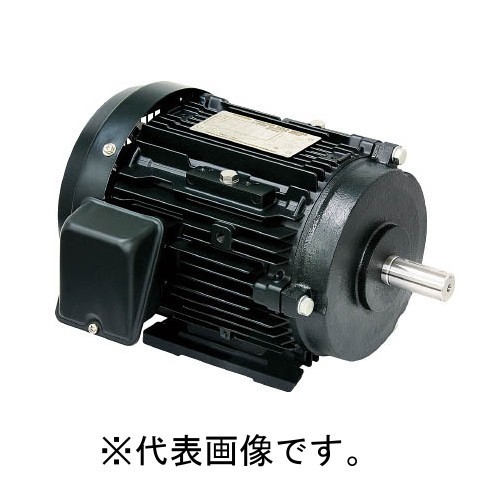 魅了 脚取付 全閉外扇形 屋内 三相モーター 200V IKKH3-FBKA21E-4P-5.5KW 東芝 プレミアムゴールドモートル 【個人宅配送不可】 高効率モータ その他 魅了 脚取付 全閉外扇形 屋内 三相モーター 200V IKKH3-FBKA21E-4P-5.5KW 東芝 プレミアムゴールドモートル 【個人宅配送不可】 高効率モータ その他