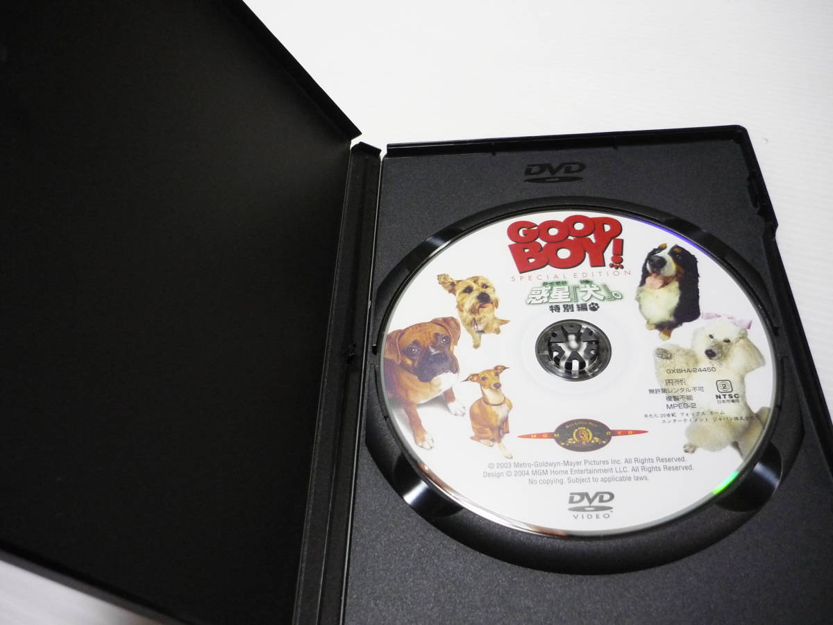 [管00]【送料無料】DVD GOOD BOY！ 惑星「犬」。 特別編 マシュー・ブロデリック リーアム・エイケン ブリタニー・マーフィ 洋画 映画