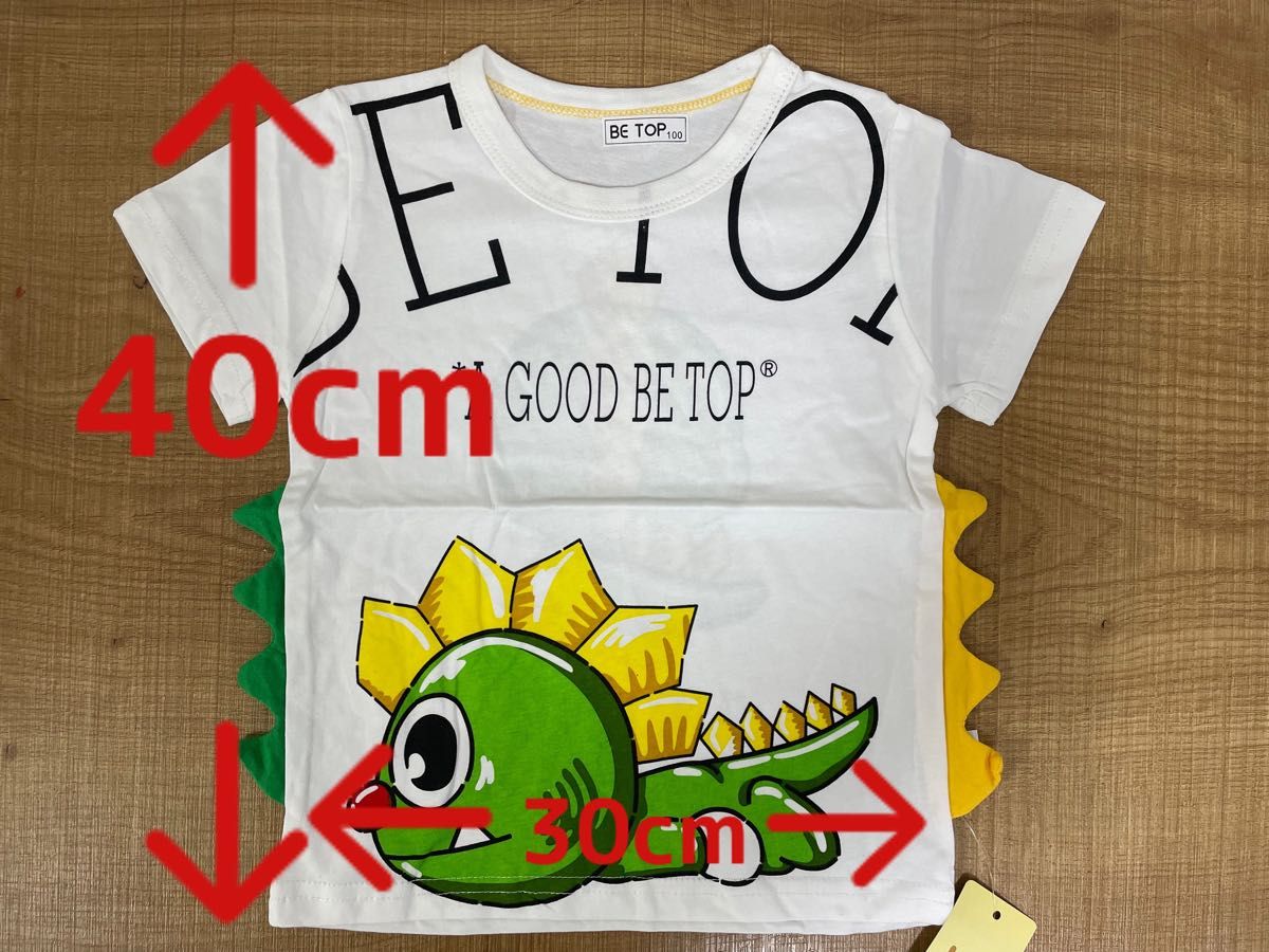 【emo様専用】恐竜Tシャツ　100cm 半袖　男の子　ボーイ