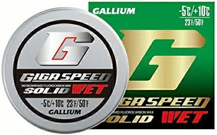 Gallium [Gallium] Giga Speed ​​Solid Wet GS2304 (10G)