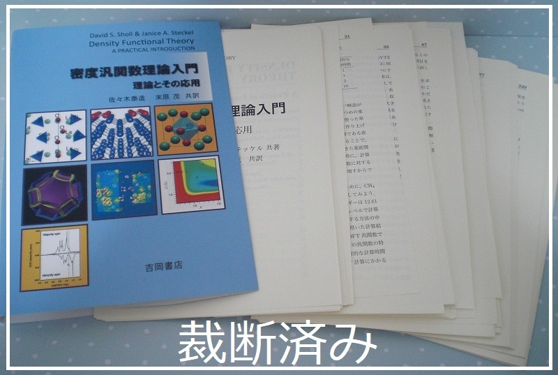 ★裁断済★ 即決 送料無料 密度汎関数理論入門 理論とその応用 D.S.ショール 吉岡書店 DFT計算 固体表面 振動数 非経験的分子動力学法_画像1