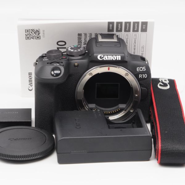 □ショット数12000回以下□ CANON EOS R10 ボディ □極上品