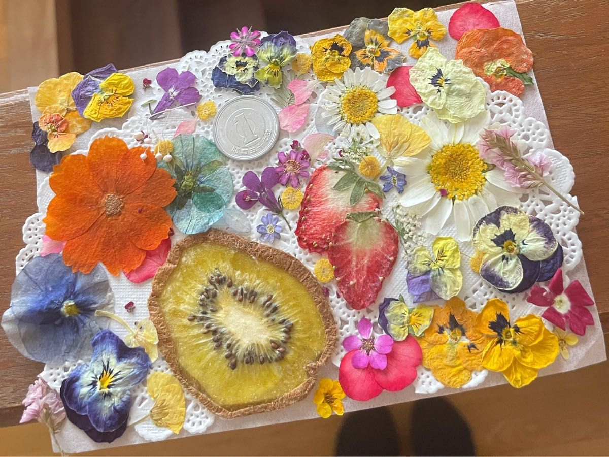 大量の押し花 押し花素材 ビオラ ミモザ 菜の花 コデマリ 苺 キウイ