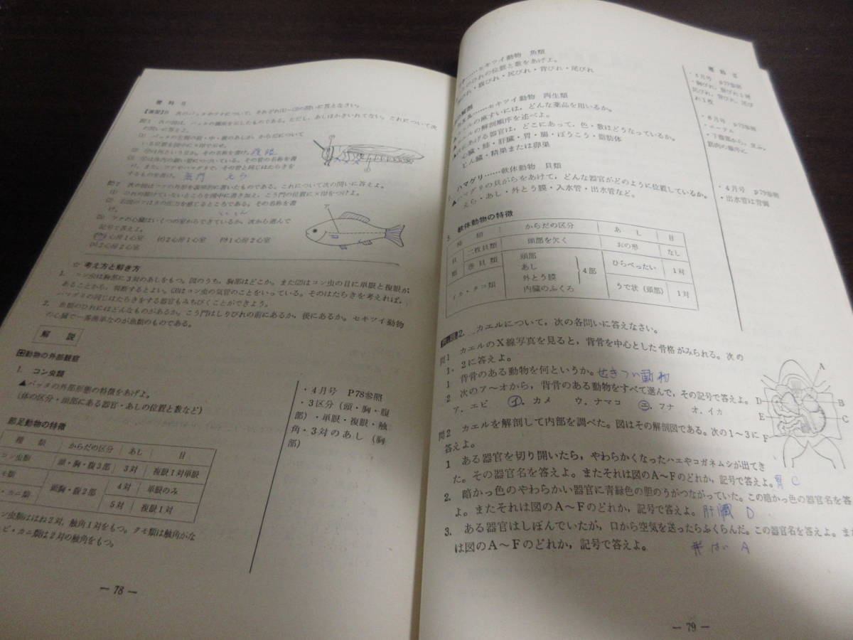 B31☆ NHK 中学生の勉強室 1971年11月号 日本放送出版協会 1971年11月1日_画像3