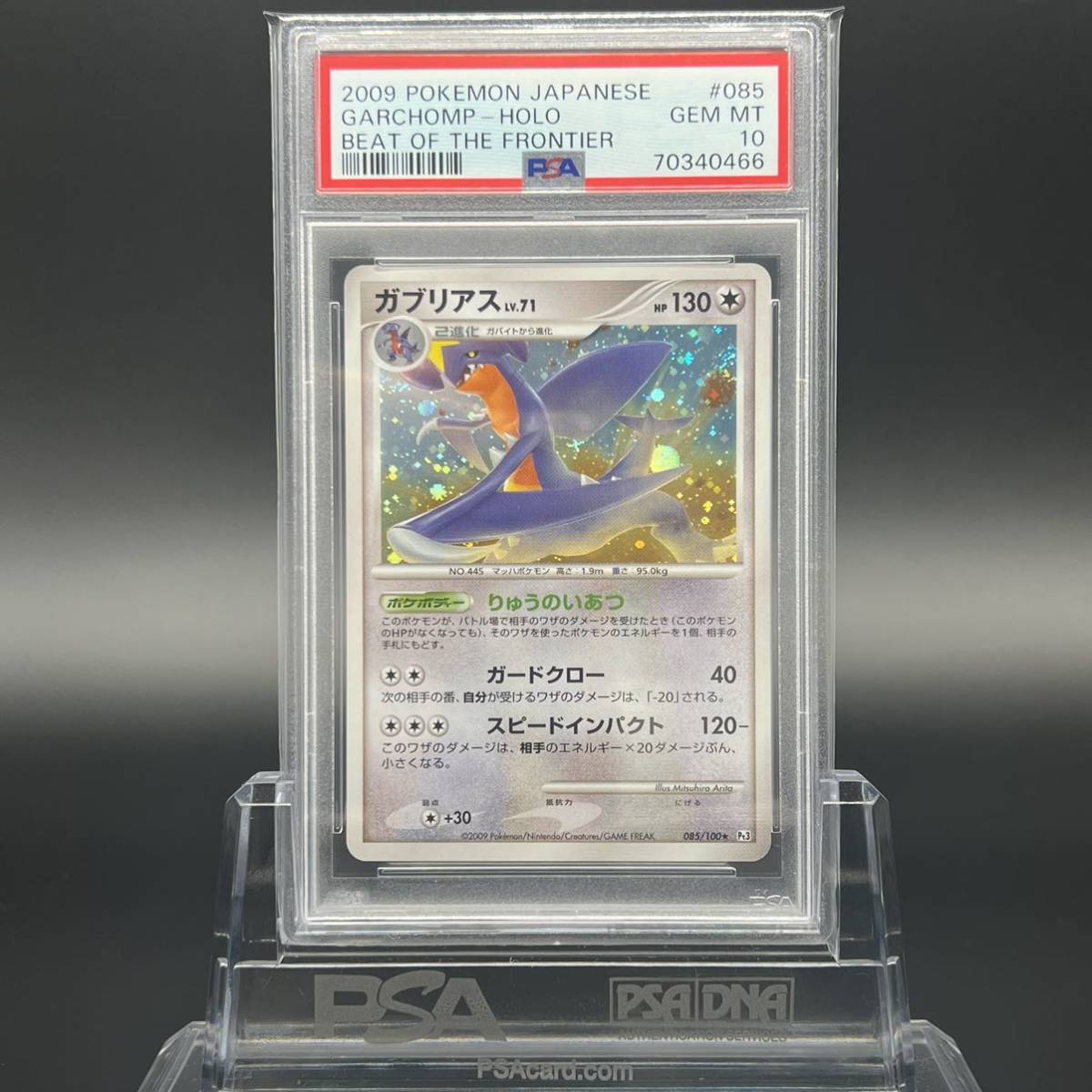 ランキングや新製品 【極美品/PSA10】ガブリアス ポケモンカード pt