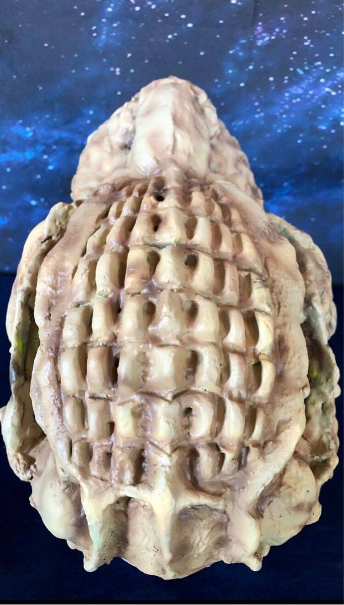 怪獣王キングオブモンスター ゴジラスカルヘッド骨オリジナル特殊造形創作完成品 ゴジラヘッド スケルトン