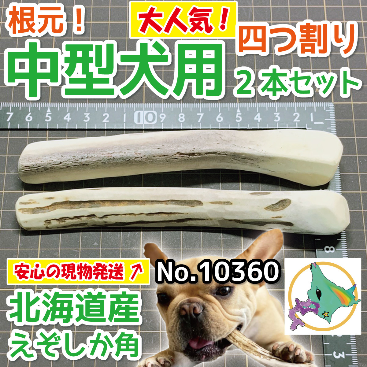 現物発送 中型犬用 根元 4半割り 2本セット 天然 北海道産 蝦夷鹿の角