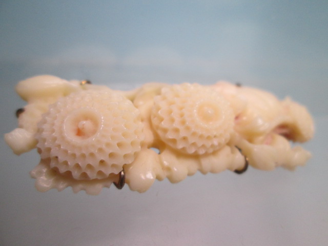 ☆アンティーク・本珊瑚 花活けに菊花彫刻の帯留め 10,05g