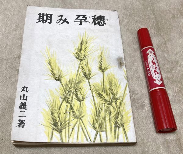 【当店一番人気】 穂孕み期 丸山義二 大貫書房 その他