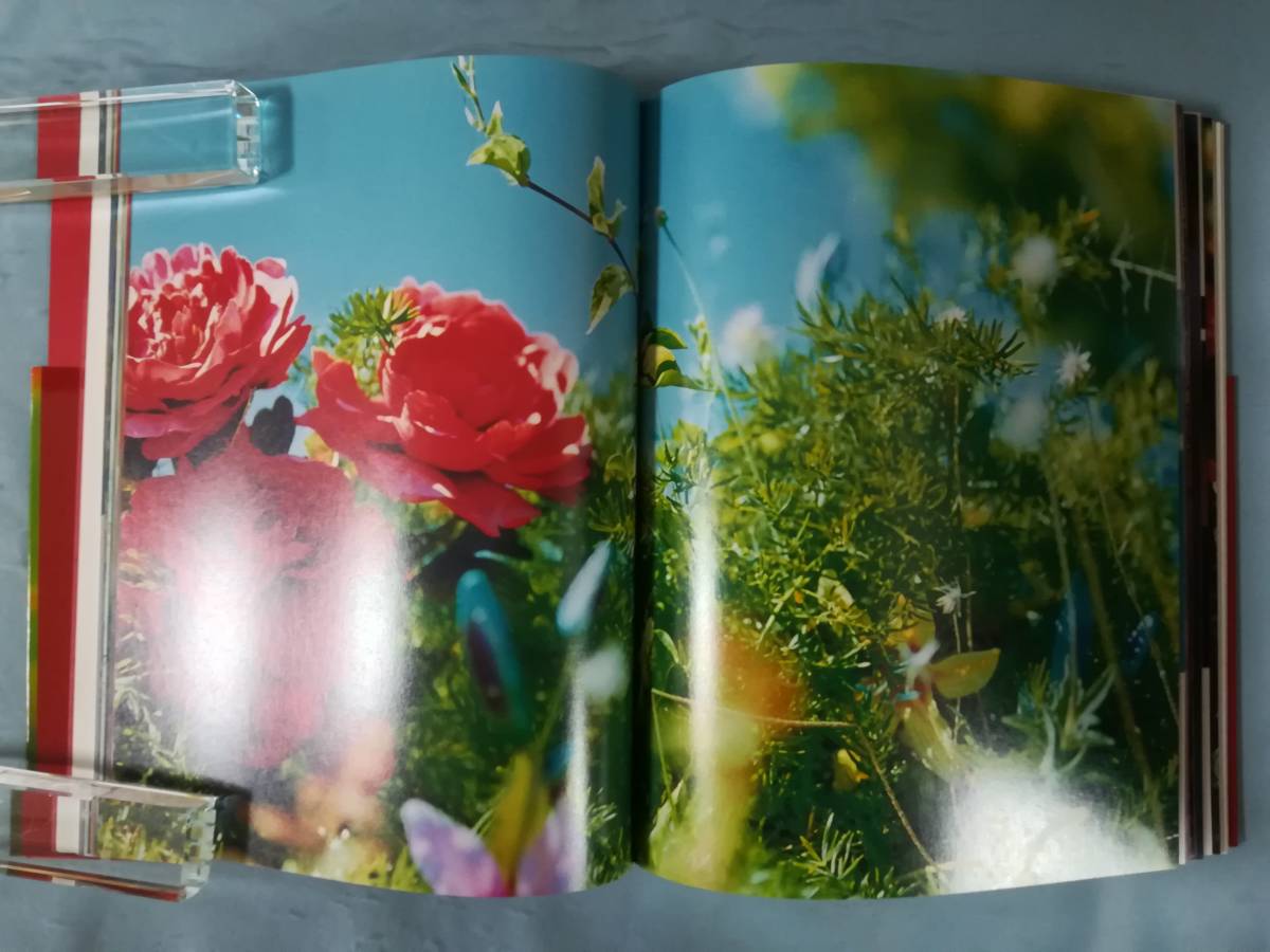 . river real flower exhibition ground. flower, heaven on. color morning day newspaper company 2008 year llustrated book 