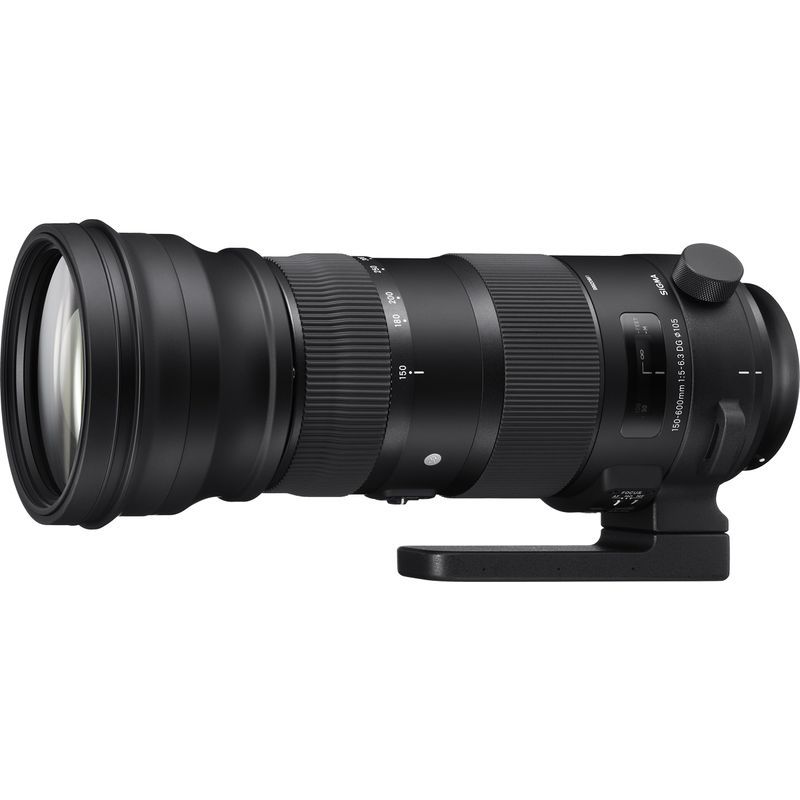 SIGMA 150-600mm F5-6.3 DG OS HSM | Sports S014 | Nikon F-FXマウント | Full