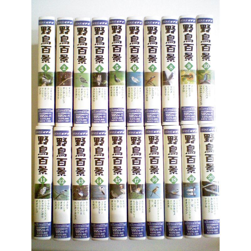 野鳥百景 全20巻セット VHS