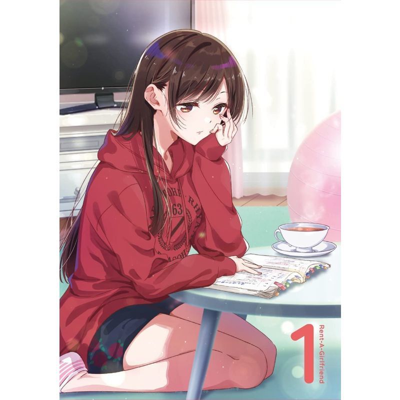 Blu-ray彼女、お借りします 第2期 全4巻セット | activoskateshop.com
