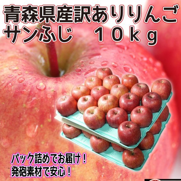 青森県産 家庭用 りんご サンふじ 10kg 全国送料無料！3の画像1