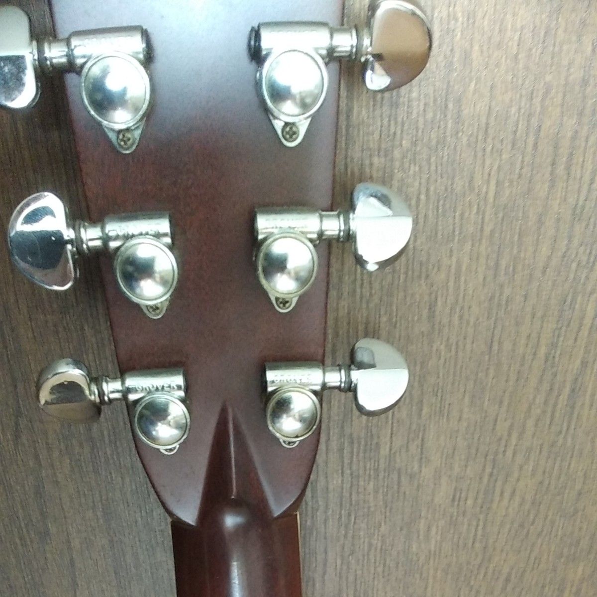 東海楽器 キャッツアイ CE600 | veranstaltungen.lkz.de
